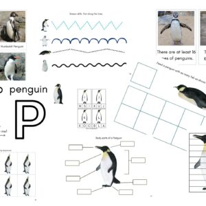 Pakiet aktywności: Pingwiny – POLSKI